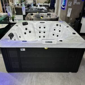 Dynasty Bay Bliss- 1 in stock