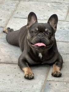 Rocky 2